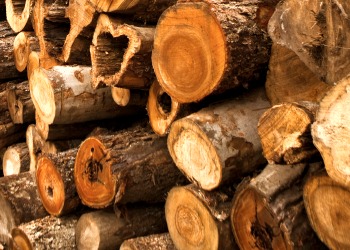 Logs